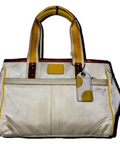Handbag picture