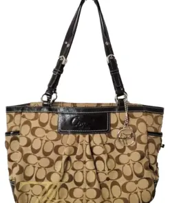 handbag image